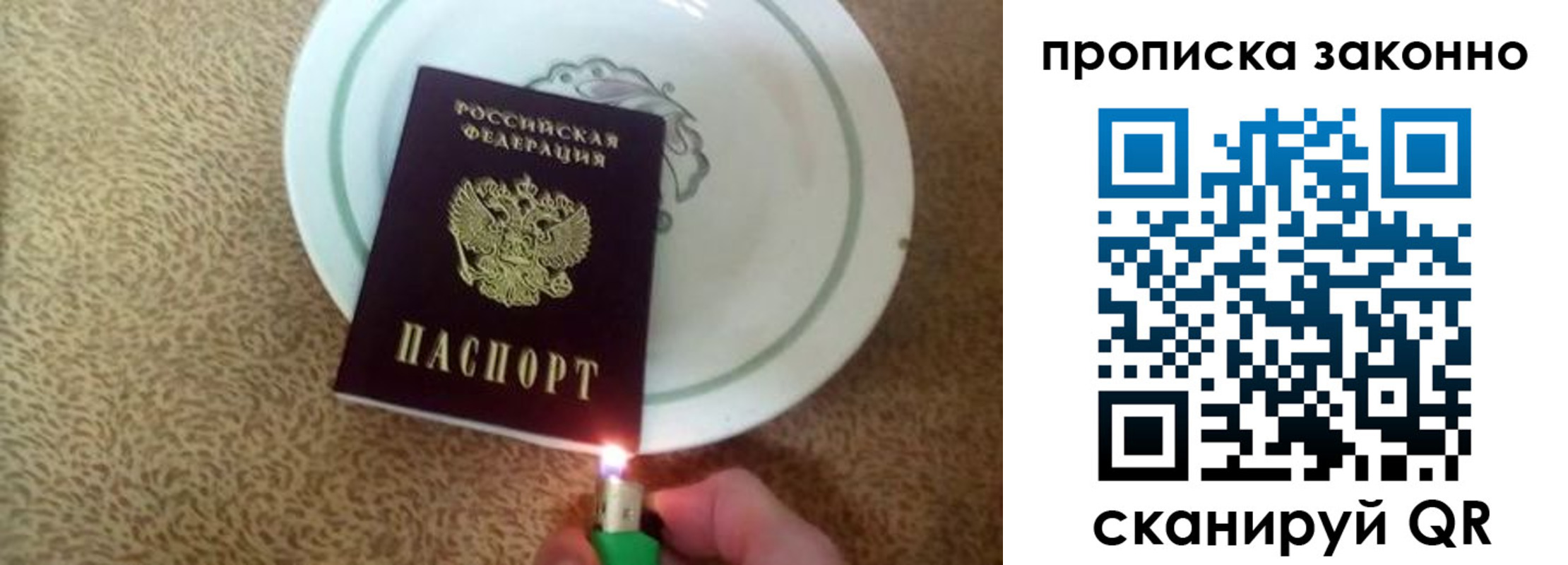 прописка поиск в Лодейном Поле